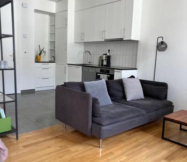 James-Fazy Apartment | Luxury Apartment in Central Geneva