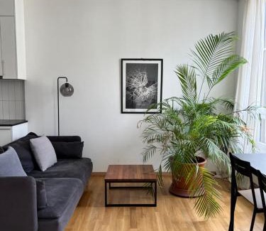 James-Fazy Apartment | Luxury Apartment in Central Geneva