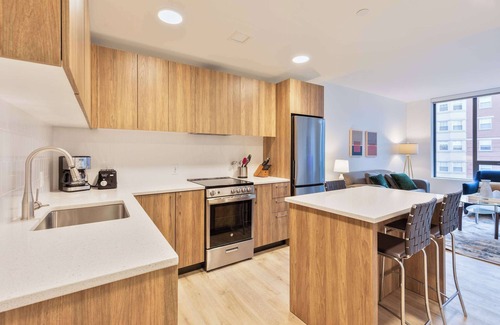 Fenway–Kenmore Apartment | Luxury Apt with Kitchen Gym and Lounge