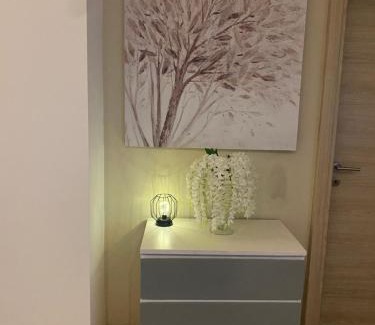 Novi Ligure Apartment | Luxury center appartment