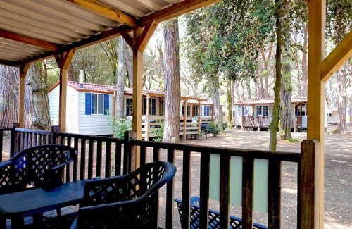 Lido di Spina Ski Chalet | Luxury Chalet near the sea! (no: 724)