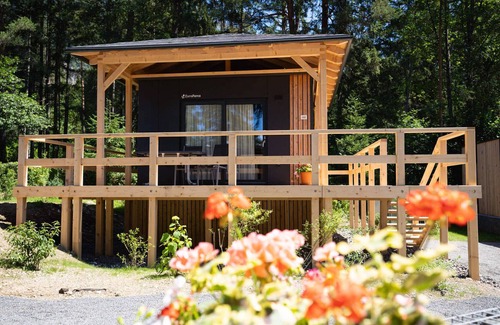 Presseggen Ski Chalet | Luxury chalet with ac, in a holiday park near the beautiful Pressegger See