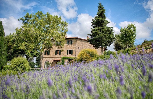 Greve in Chianti Apartment | Luxury Chianti in Olive