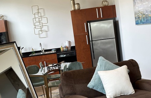 Downtown St. Louis Apartment | Luxury Cozy Loft Downtown STL