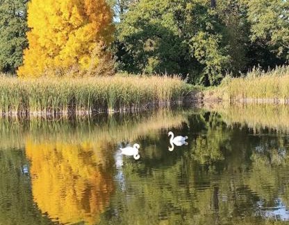 Raszyn Apartment | Luxury House with Garden near Chopin Airport