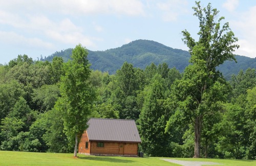 Nellysford Cabin | Luxury Log cabin on private lake. Pet Friendly!