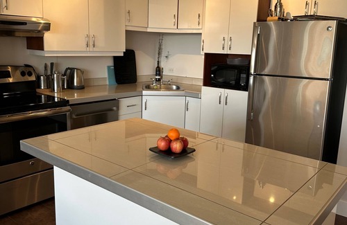 Downtown Montreal Apartment | Luxury Mount Royal Flat at the foot of Peel Steps 2 bed/2 bath