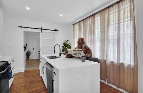 San Marco House | Luxury Oasis + Guest Suite Pool, Hot Tub & Grill Patio