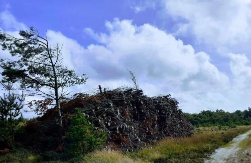 Jegum House | Luxury Retreat with Pool - By Traum Ferienwohnungen