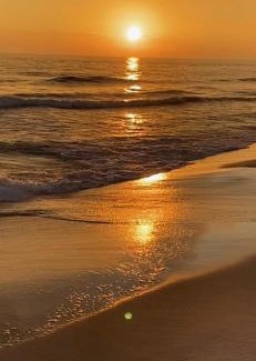 Cap-Pele Ski Chalet | LUXURY ROSE COTTAGE ,ABOITEAU BEACH,CAP PELE