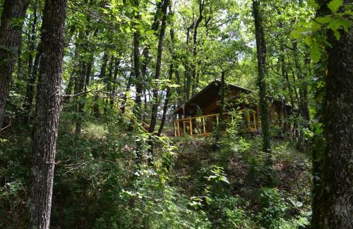 Varen House | Luxury safari hideaway with idyllic natural pool