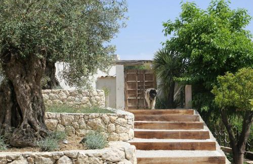 Saint-Paul-de-Vence House | Luxury Villa Near Saint Paul De Vence