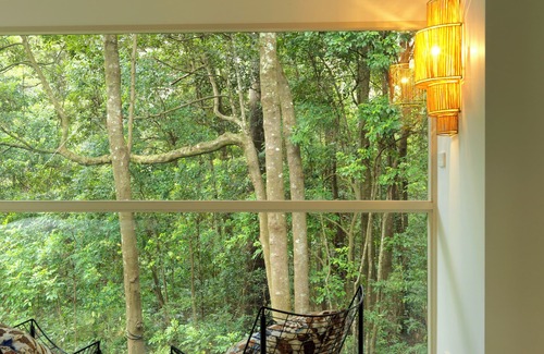 Foxground Cottage | Lyrebird House, an off-grid escape nestled in Foxground's lush rainforest.