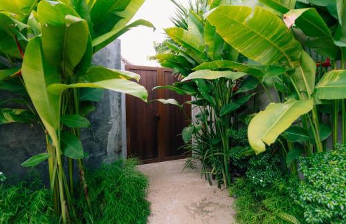 Catangnan Villa | Mémé Villa Siargao