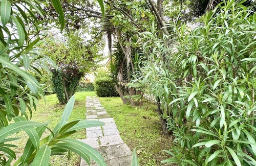 Marcelli Apartment | M114 - Marcelli, three-room apartment with garden 200m from the sea