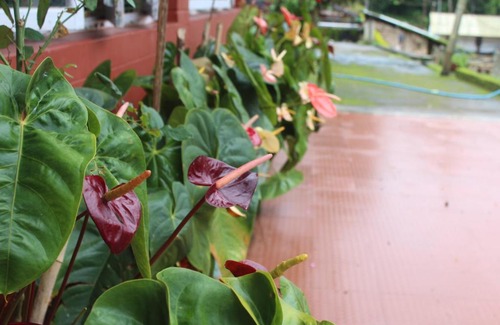 Chikkamagaluru House | Madla Mane