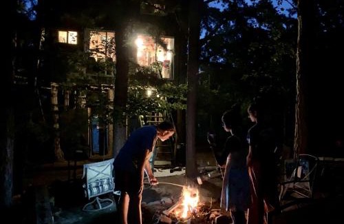 Grubville House | Magical Tree House Rental Nestled in the Woods on Farm Retreat near St. Louis, Missouri