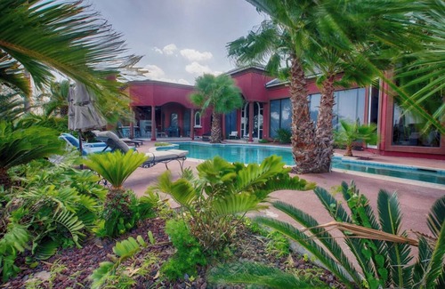 Harlingen House | Magical Waterfront Birdwatching