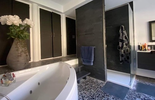 Nerac House | Magnificent residence of character and its Park.