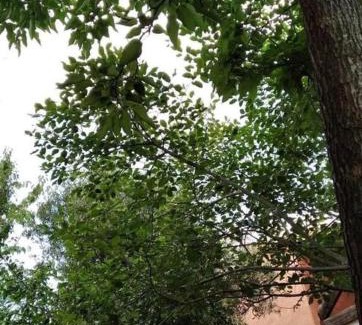 Saint-Sernin Villa | Magnificent Villa with private pool south Ardèche