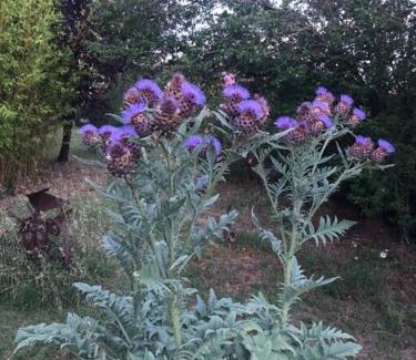 Saint-Sernin Villa | Magnificent Villa with private pool south Ardèche