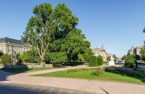 Contades Apartment | Magnifique appartement au cœur de la Petite France