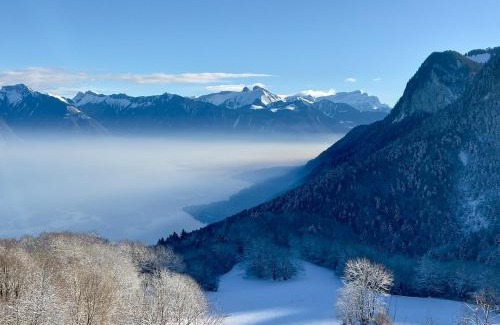 Thollon-les-Memises House | Magnifique Chalet Avec Vue Panoramique sur le Lac Léman
