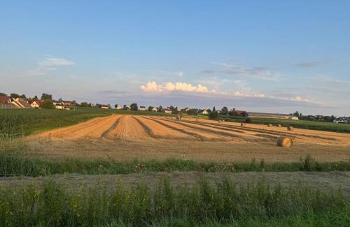 Wolfersdorf Villa | Magnifique Villa 4 chambres avec piscine