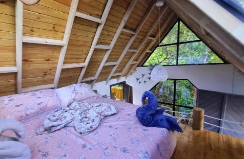 Pachavita Other | Magno Glamping Valle de Tenza