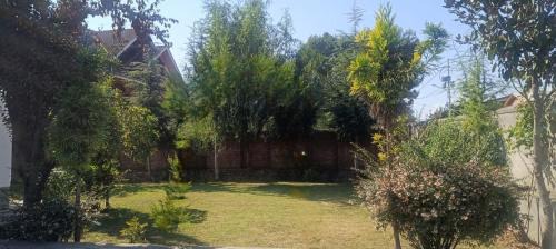 Brein House | Magnolia Homestay