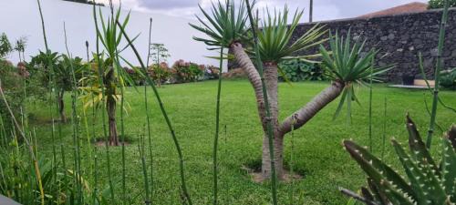 Pico da Pedra Villa | Magnolia Residence - central to explore the island