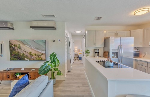 Dunedin Condo | Mai Tai Suites Dunedin Free Honeymoon Island Pass 2 King Bedrooms Beach Gear Inc