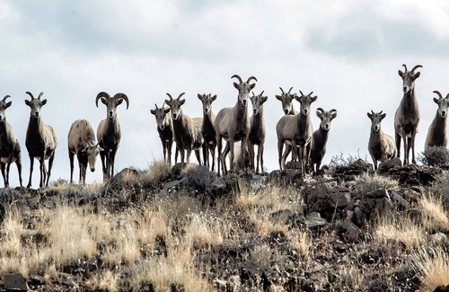 Moab House | Main House, disc golf, kayaks, ATV, wildlife, hiking, beach, pet friendly