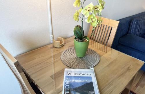 Kaprun Apartment | Maiskogel Studio