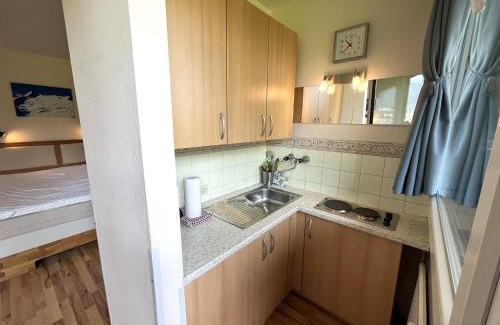 Kaprun Apartment | Maiskogel Studio