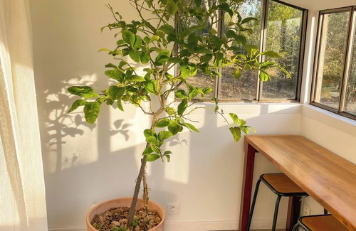 Cucuron House | Maison Avec Piscine au Pied du Luberon