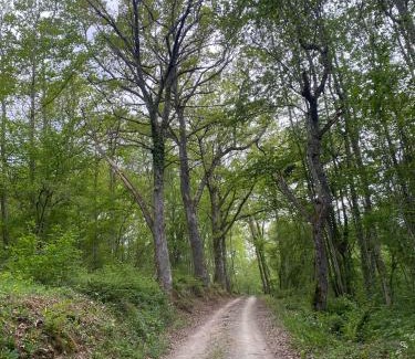 Illartein Ski Chalet | Maison avec piscine au milieu des bois