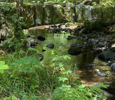Gerardmer House | Maison chaleureuse avec cheminée bord de rivière