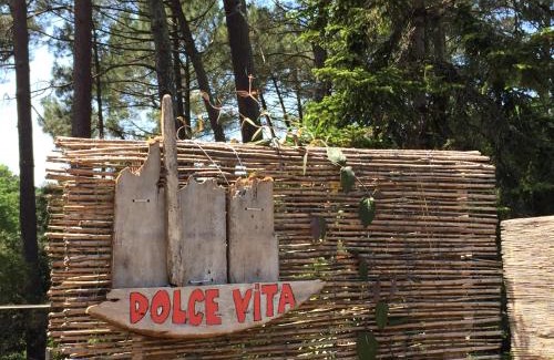 Carcans House | Maison chaleureuse climatisée à Maubuisson, proche lac