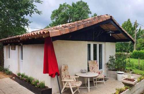 Montfermier House | Maison charmante à Montfermier avec piscine privée