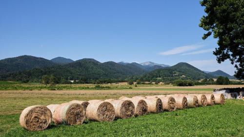 Espezel House | Maison - Chez Louisette