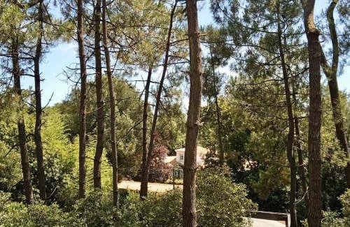 Saint-Jean-de-Monts House | Maison dans les arbres, proche plage, cheminée, jardin, parking - FR-1-652-46