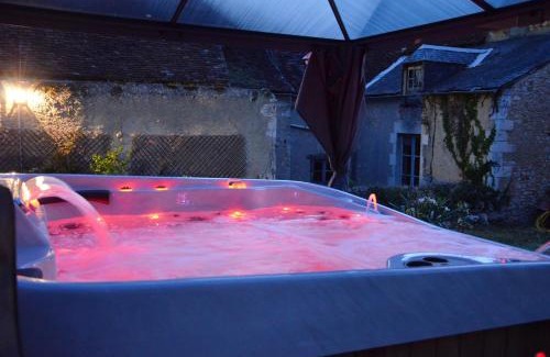 Le Blanc House | Maison de charme au cœur du Blanc, avec spa et jardin