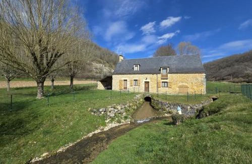 Borreze House | Maison de charme avec ruisseau, 5 chambres, proche Vallée de Dordogne et sites touristiques - FR-1-616-170