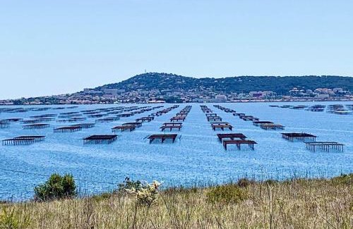 Loupian Apartment | Maison de Vacances à Loupian avec Piscine et Tennis - Idéal Famille - FR-1-604-9