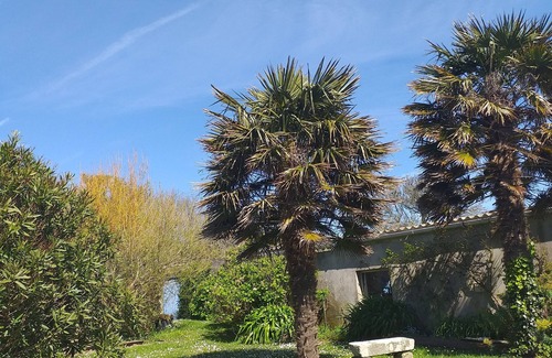 Plogoff House | Maison Familiale a Proximité de la mer