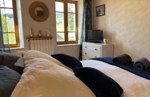 Laprugne House | Maison familiale avec jardin et animaux admis - FR-1-489-448