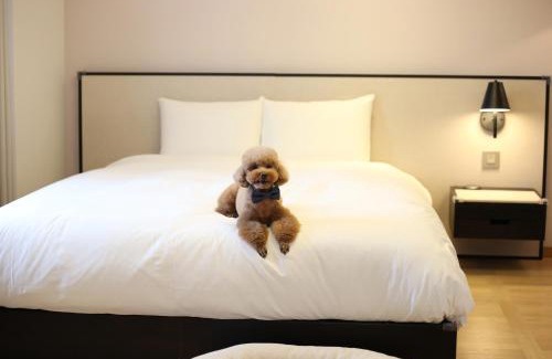 Yeon-dong Hotel | Maison Glad Jeju