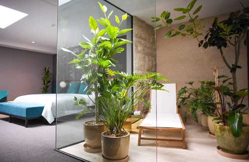 Yeon-dong Hotel | Maison Glad Jeju