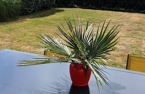 Saint-Jacques House | Maison Lumineuse, Plage à 12 mn à Pied, Idéale Pour Famille